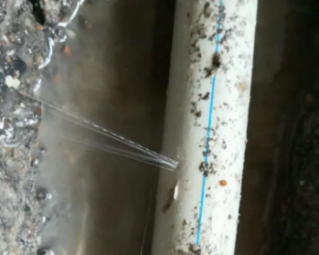 科尔沁右翼前卫生间测漏水多少钱
