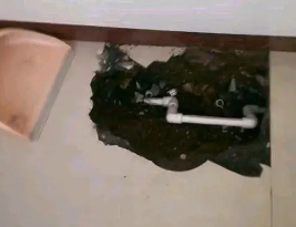 科尔沁右翼前卫生间测漏水多少钱